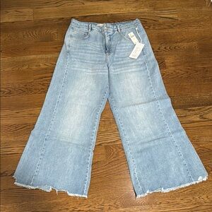 Pilcro Light Blue Wide-Leg Women Jeans